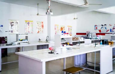 Lingaya's Vidyapeeth Classroom view